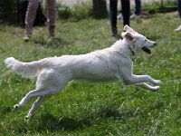 Puppys van Bliss040622-0010